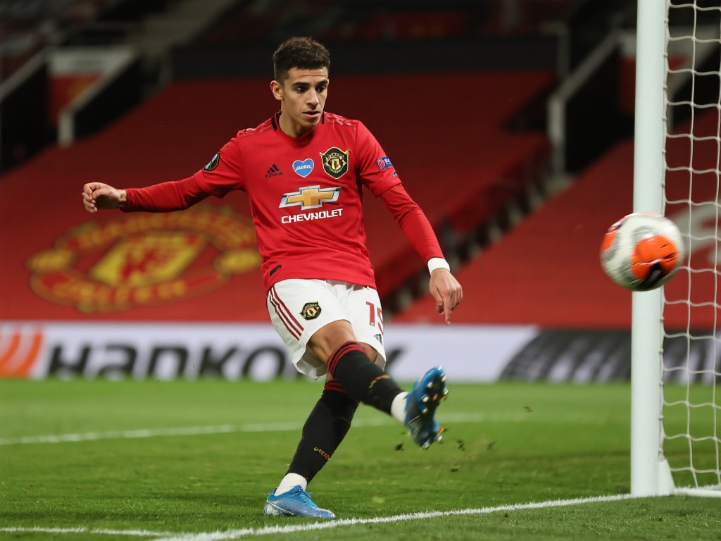 为用户运动 为用户运动